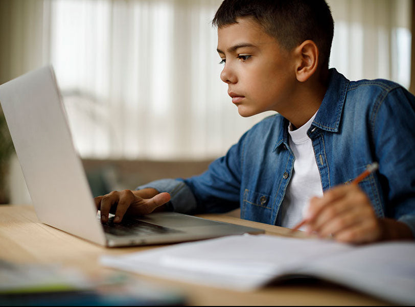 3. GL Mock Exams (online)